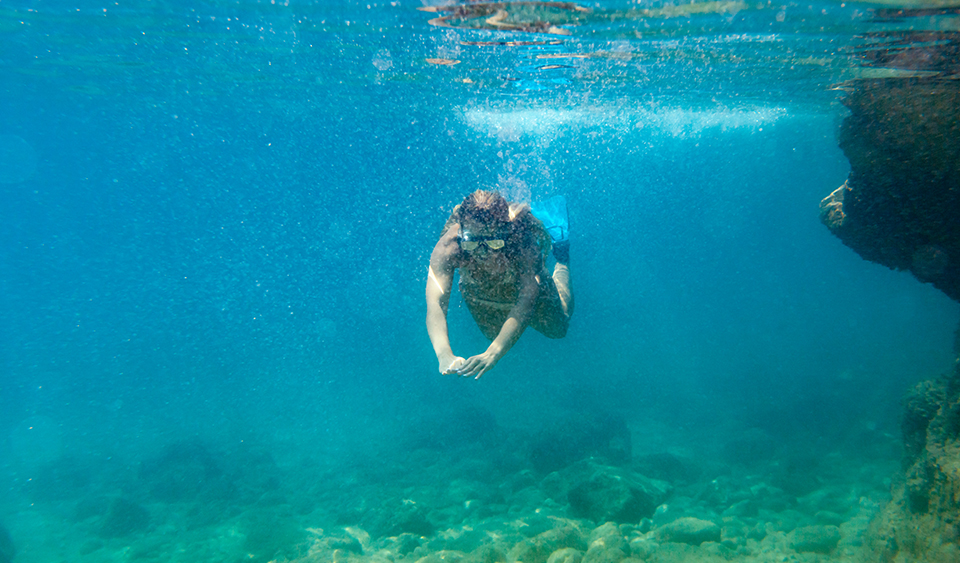 Solución de snorkel y turismo